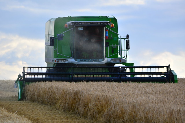 Deutz Fahr 4080 HTS Topliner Combine Harvester cutting Winter Barley