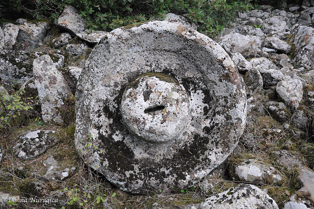 area archeologica di Bruncu Suergiu, Genoni