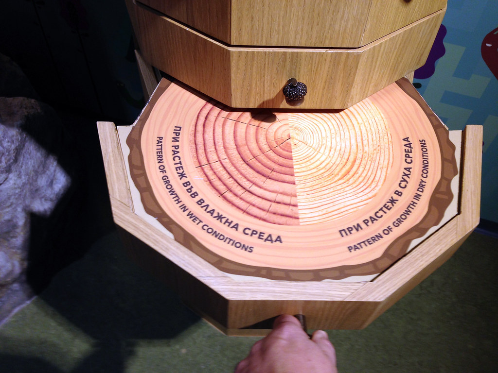 Tree Rings Games Tree Rings | A nature interactive lets visitors learn more a… | Flickr