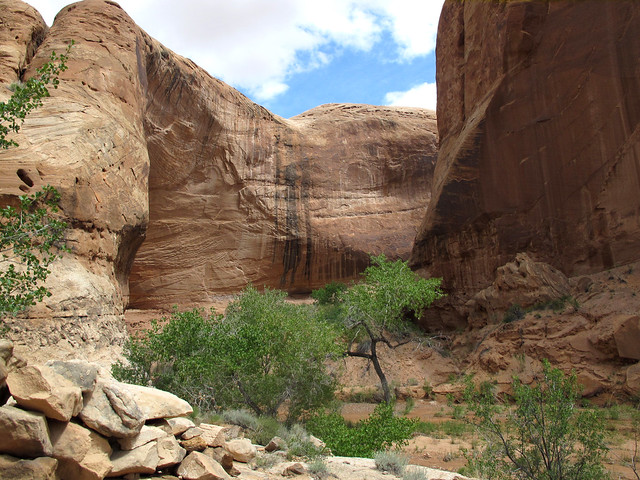 White Roost Canyon