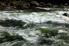 DSC05584 Lochsa River, Idaho