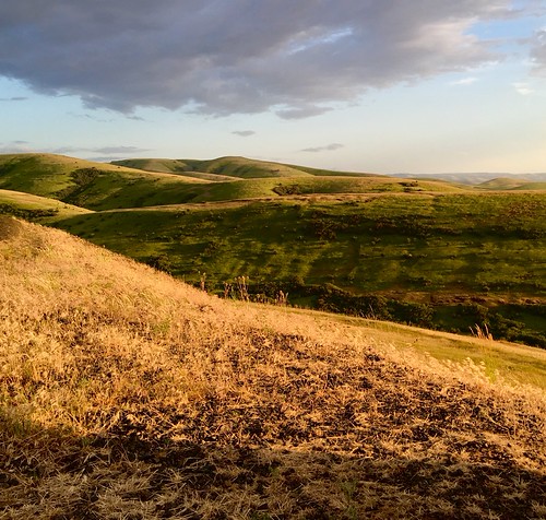Near Pendleton Oregon by photos.jhayes, 