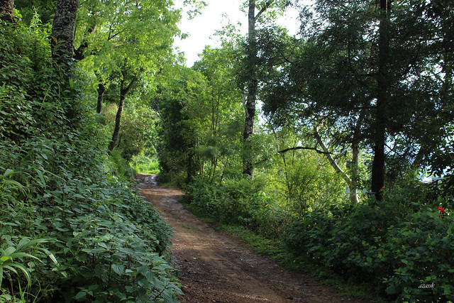 The road less traveled by (Mizoram)