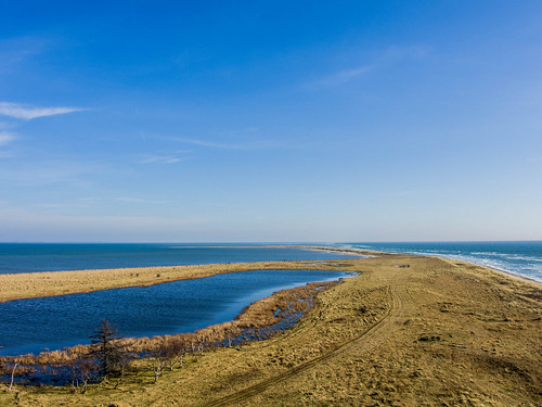 natur fyr lolland fyrtårn østersøen rødsand hyllekrog fugleværnsfonden