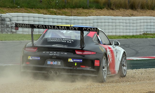 Porsche 991 GT3 Cup Challenge / Alexandre  JOUANNEM / FRA