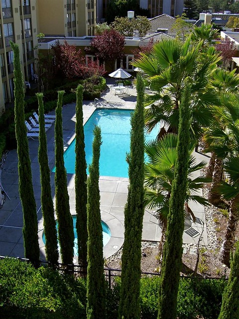 Four Points by Sheraton San Rafael—Pool and Courtyard view