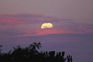 Full moon rising