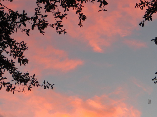 sunset sky clouds florida citruscounty 2013