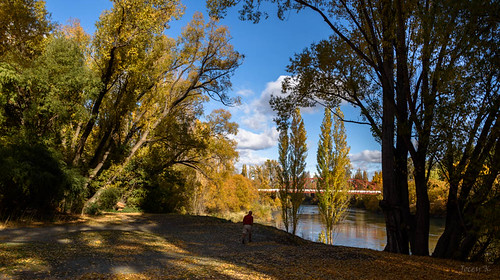 autumn trees newzealand sky people clouds landscape clyde shadows scene hills autumncolours southisland centralotago autumncolour cluthariver manuherikiavalley tripdownsouth populartrees