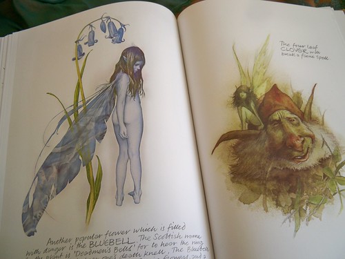 Faeries | by Raissa ☾