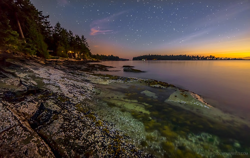 travel trees vacation canada tourism beach nature water night stars landscape outside island coast scenery rocks colorful natural outdoor britishcolumbia vibrant scenic dramatic peaceful overcast wideangle nobody twinkle calm shore destination leisure relaxation galianoisland pristine