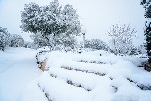 snow israel naturelandscape haluts northdistrict