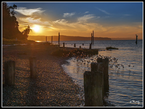 park sunset english birds pier washington state flock boom historical pilings sking5000