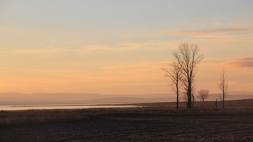 FRÍO by Jesús García Gauses, árboles nieve paisaje luna zaragoza amanecer frío bello gallocanta páramo aragón tornos grullas berr