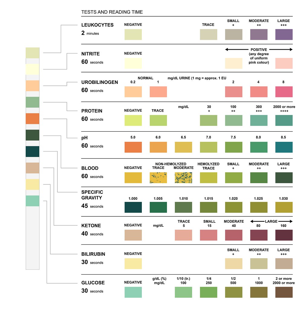 multistix color chart - Part.tscoreks.org