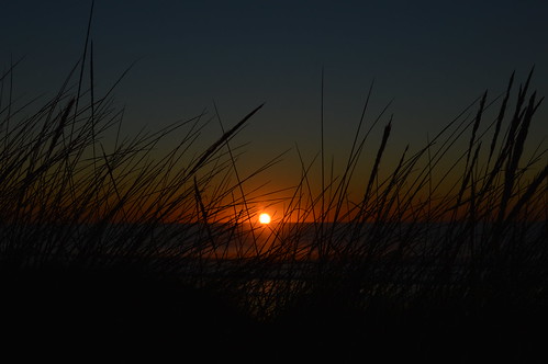 beach sand sea tussock sun sunrise water sky nikon 1855mm d3200 reflection silhouette