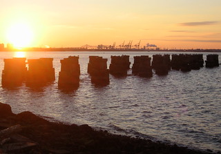 Pilings from a former train bridge