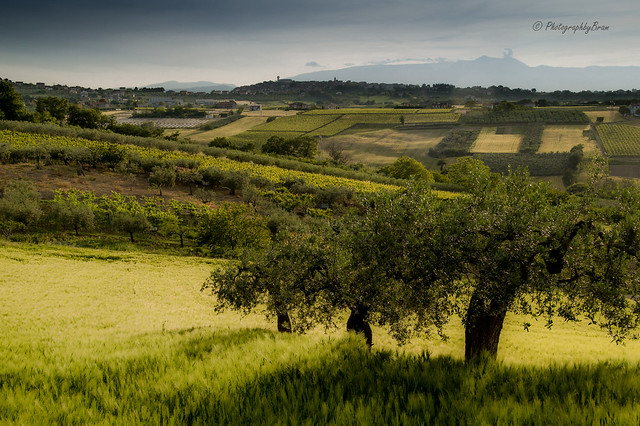 Lovely green Italian landscape