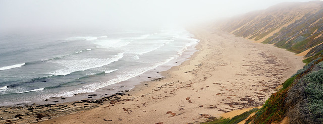 Foggy Beach