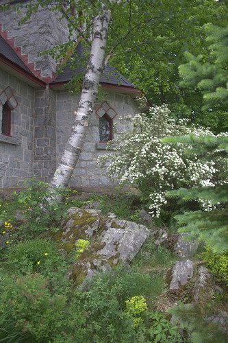 flowers trees outside chapel birch saintbenoîtdulac