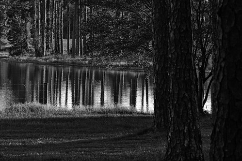 lake rural ga fence georgia pond pines elements hff swgeorgia fencefriday