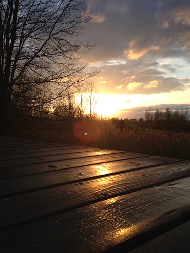 After the rain by Katie Fuller, <a href="http://www.bsc-eoc.org/longpoint/index.jsp" rel="nofollow">Find out more about bird banding