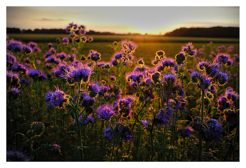 Untitled | by ingomann