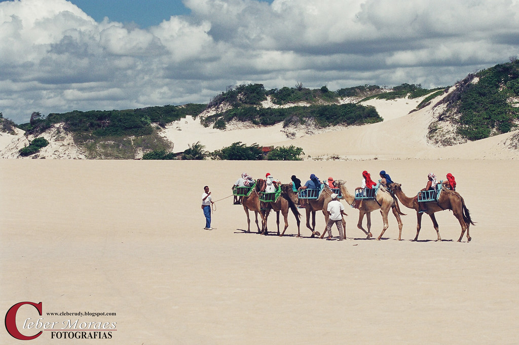 Camelos - Natal - RN - Brasil | Dunas da praia de Genipabu, … | Flickr