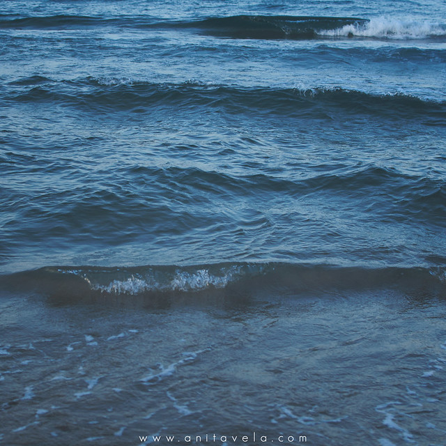 El romper de una ola no puede explicar todo el mar.