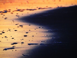 beach at sunset