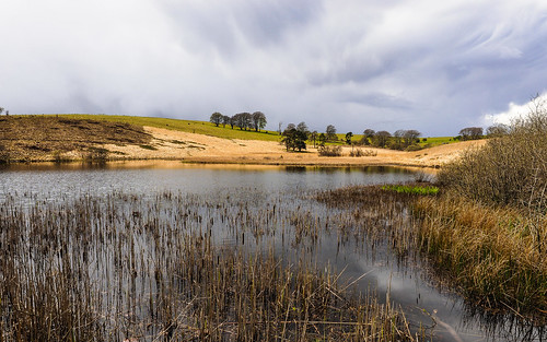 trees sky lake water pool clouds reeds pond somerset hills priddy mendips