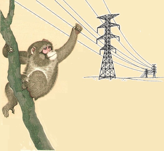 Monkey Holding High-Tension Lines, after Ohara Koson