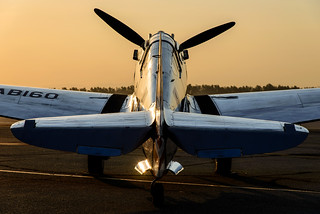 P-40 At Sunrise