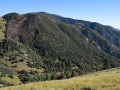 Sierra Blanca peak from White Horse Hill