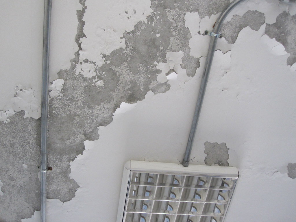 Paint Peeling Off Classroom Ceiling Source Sigar October Flickr