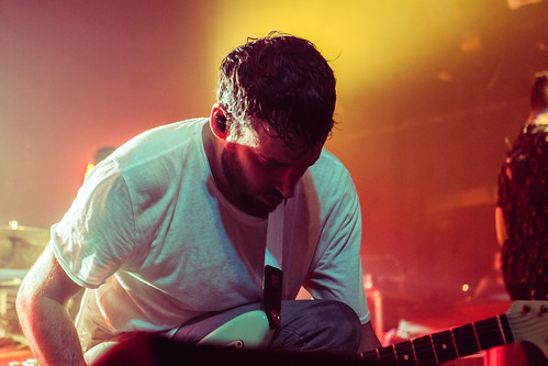 Foals