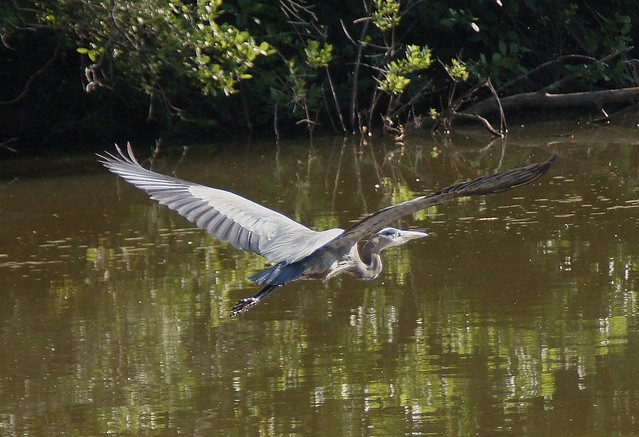 Heron sequence in order 6