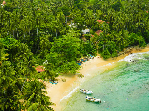 beach beauty paradise palmtree tropical srilanka coconuttree