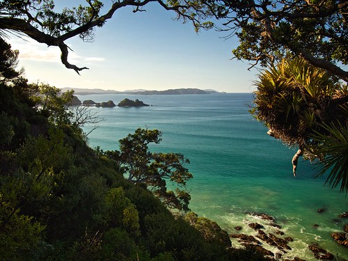 sea newzealand bay coast pacific northisland northland epiphyte mimiwhangatacoastalpark mimiwhangatabay