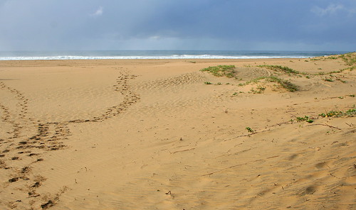 ocean beach strand canon southafrica coast sand waves horizon indianocean canon350d küste zand kust oceaan golven zuidafrika indischeoceaan janneman2007