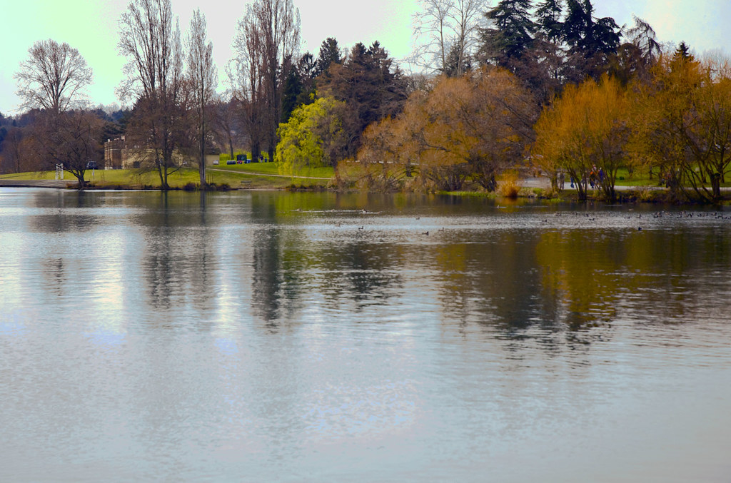 Green Lake, Seattle, Washington | My favorite spot. | Fiore Power | Flickr
