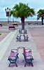 Bancos y Palma (Benches & Palm Tree) by SamyColor