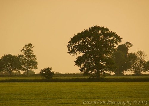 Padmaloka | by StergenFish Photography
