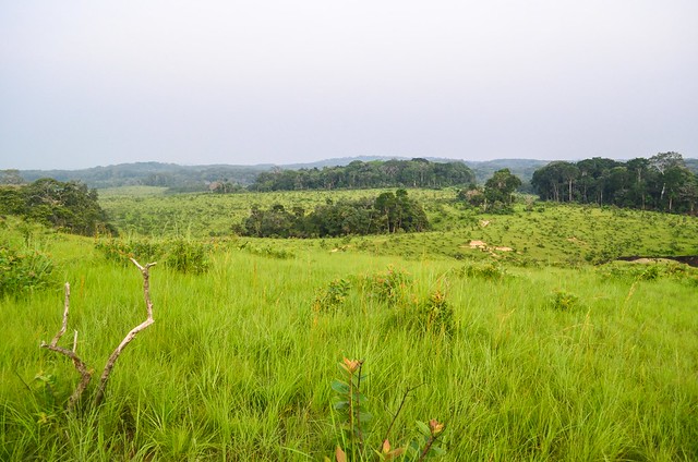 Lope National Park, Gabon