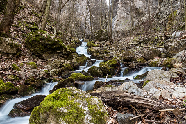Water stream in Zadielska valley