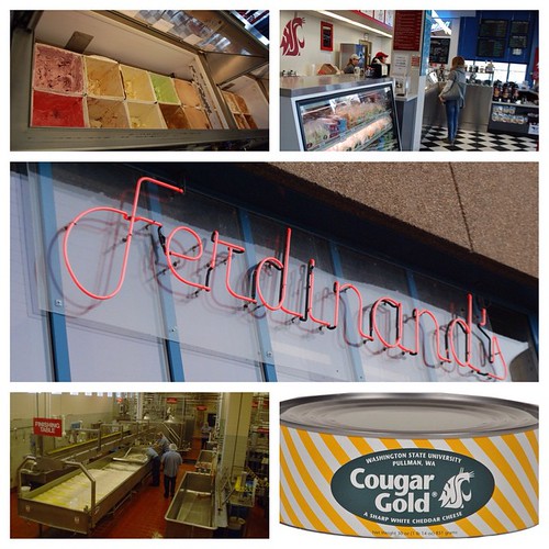 It’s #FeatureFriday! Ferdinand's Ice Cream Shoppe opened in the 1940’s in Troy Hall before moving to its current location in the Food Quality Building in 1992. Along with ice cream, the #WSU creamery currently produces 250,000 cans of cheese each year. ht
