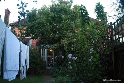 Backyard | by torriethepen