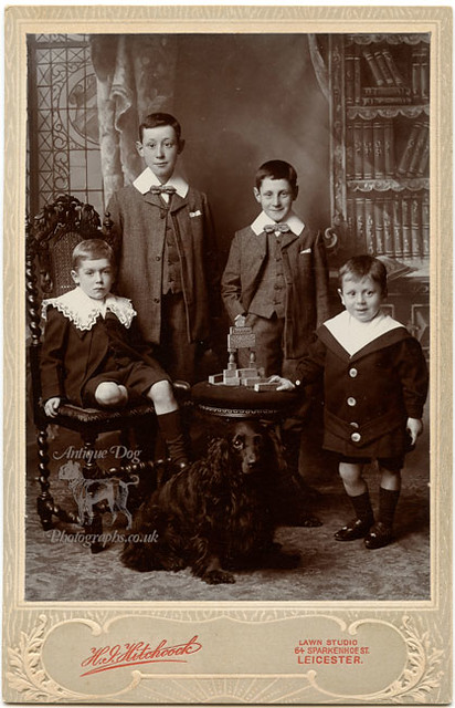 The Cocker Spaniel Who Had Four Brothers