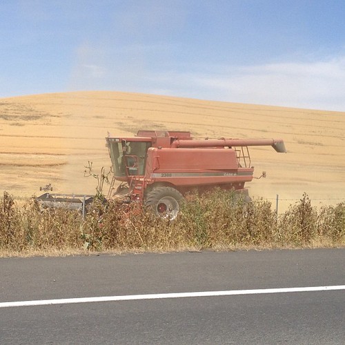 Field being harvested just off campus #wsu #gocougs