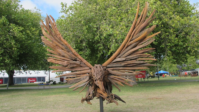 Haast's eagle in driftwood